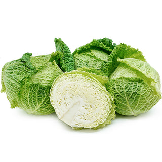 Savoy Cabbage Seedlings