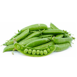 Snap Pea Seedlings