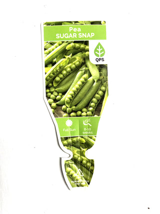 Sugar Snap Pea