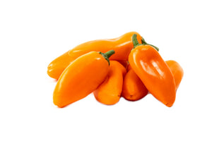 Snack (Orange) Capsicum Seedlings
