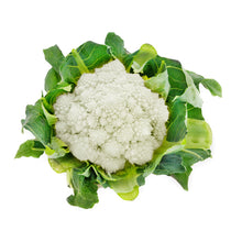Load image into Gallery viewer, Romanesco Seedlings (White)
