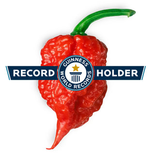 Carolina Reaper Seeds (Capsicum chinense) - Quality Plants & Seedlings