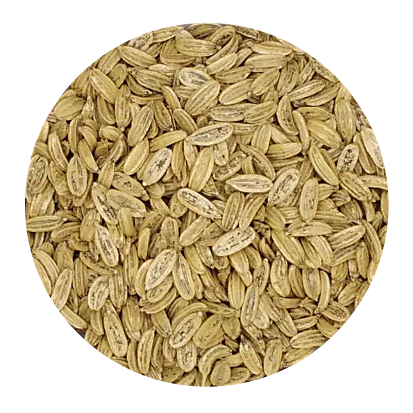 Certified Organic Fennel Seed