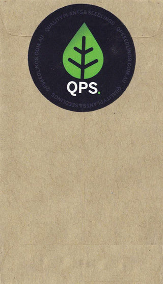 Certified Organic Cabbage Seed