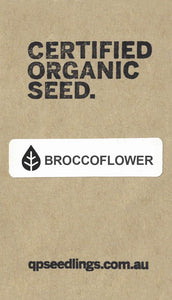 Certified Organic Broccoflower Seed