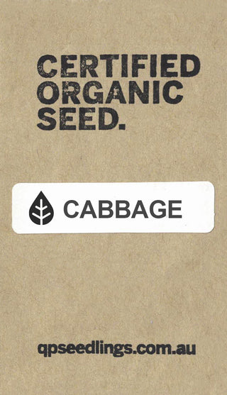 Certified Organic Cabbage Seed