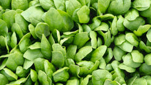 Load image into Gallery viewer, Certified Organic Spinach Seed
