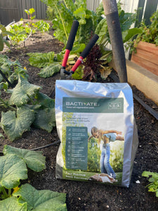 BACTIVATE - Home Soil Regeneration Pack