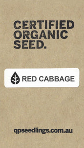 Certified Organic Red Cabbage Seed
