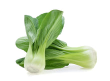 Load image into Gallery viewer, Bok Choy / Pak Choi Seedlings - Quality Plants &amp;  Seedlings
