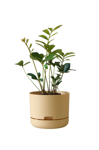 Designer Plant Pot