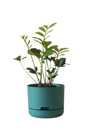 Designer Plant Pot