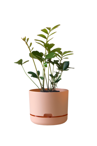 Designer Plant Pot