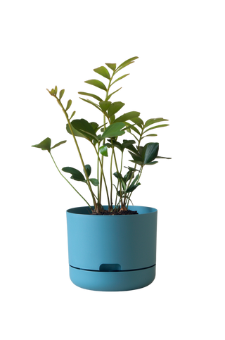 Designer Plant Pot