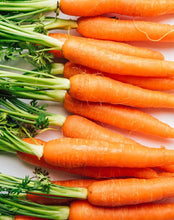 Load image into Gallery viewer, Certified Organic Carrot Seed
