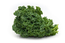 Load image into Gallery viewer, Kale Seedlings - Quality Plants &amp;  Seedlings
