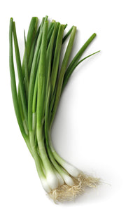 Spring Onion Seedlings (x10) - Quick-Pick Seedlings