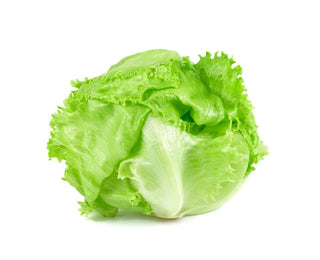 Lettuce Seedlings (x10) - Quick-Pick Seedlings
