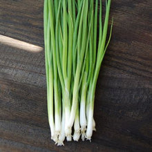 Load image into Gallery viewer, Certified Organic Spring Onion Seed
