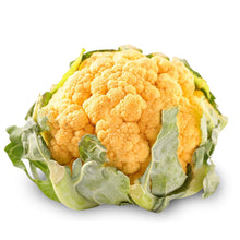 Load image into Gallery viewer, Cauliflower Seedlings (Yellow)
